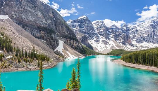 加拿大语音群呼,改显TG,WS号码引流